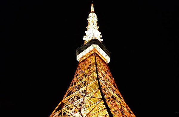 【愛犬同伴プラン】(12/20)クリスマス特別企画2025♪わんちゃんとオープントップで煌めくイルミネーション鑑賞のvipわんツアー!(バスのみプラン)3